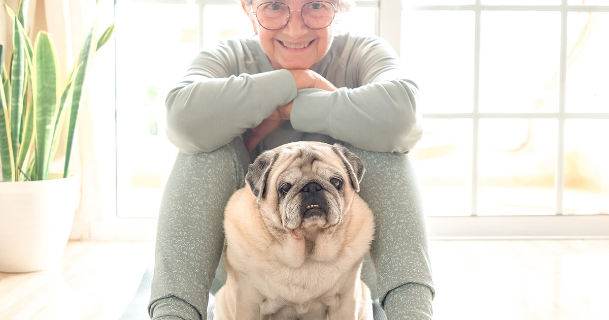 【いつまでも元気でいてほしいから】愛犬の長生きを願う飼い主さんのための、今日から始める健康習慣