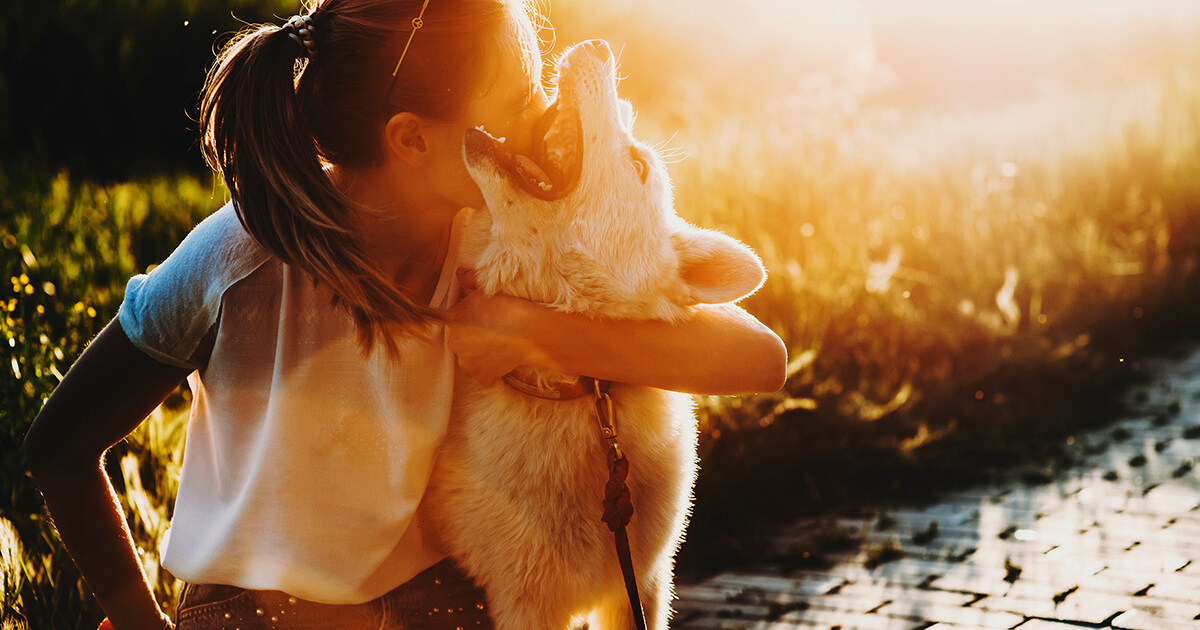 【もしもの時、離れ離れにならないために】愛犬と飼い主が「一緒に生き抜く」ための防災ポーチ、今すぐ準備の理由