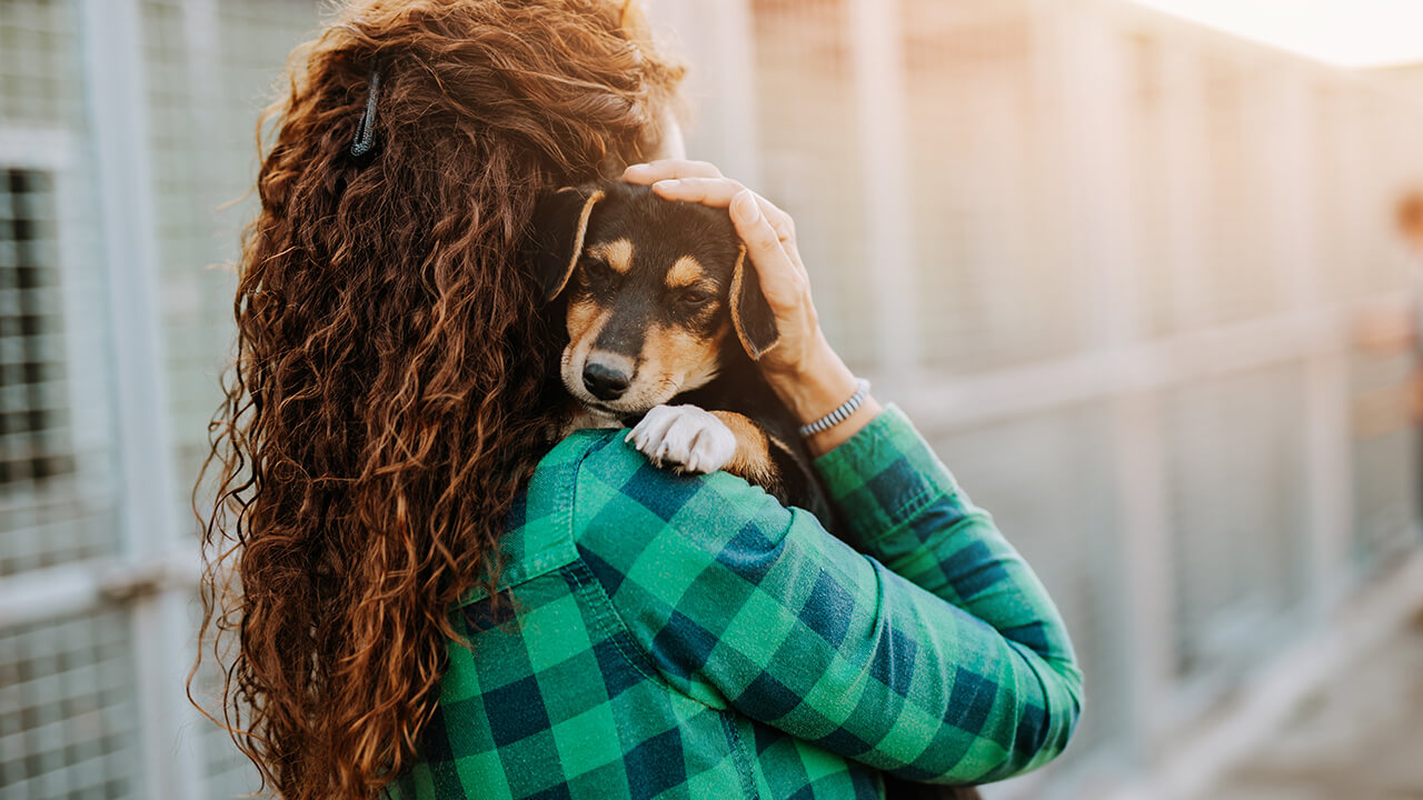 愛犬と「命を守る」防災対策リスト！もしもの時に備えるべきこと