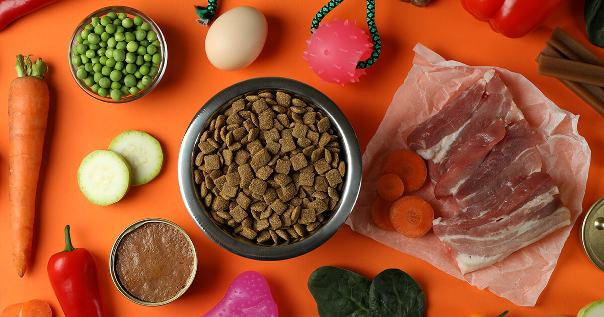 【危険な食べ物リスト】愛犬に絶対に与えてはいけない食品20選！中毒症状と誤食時の対処法